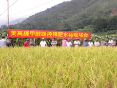 美高“湖南长沙市长沙县早稻示范